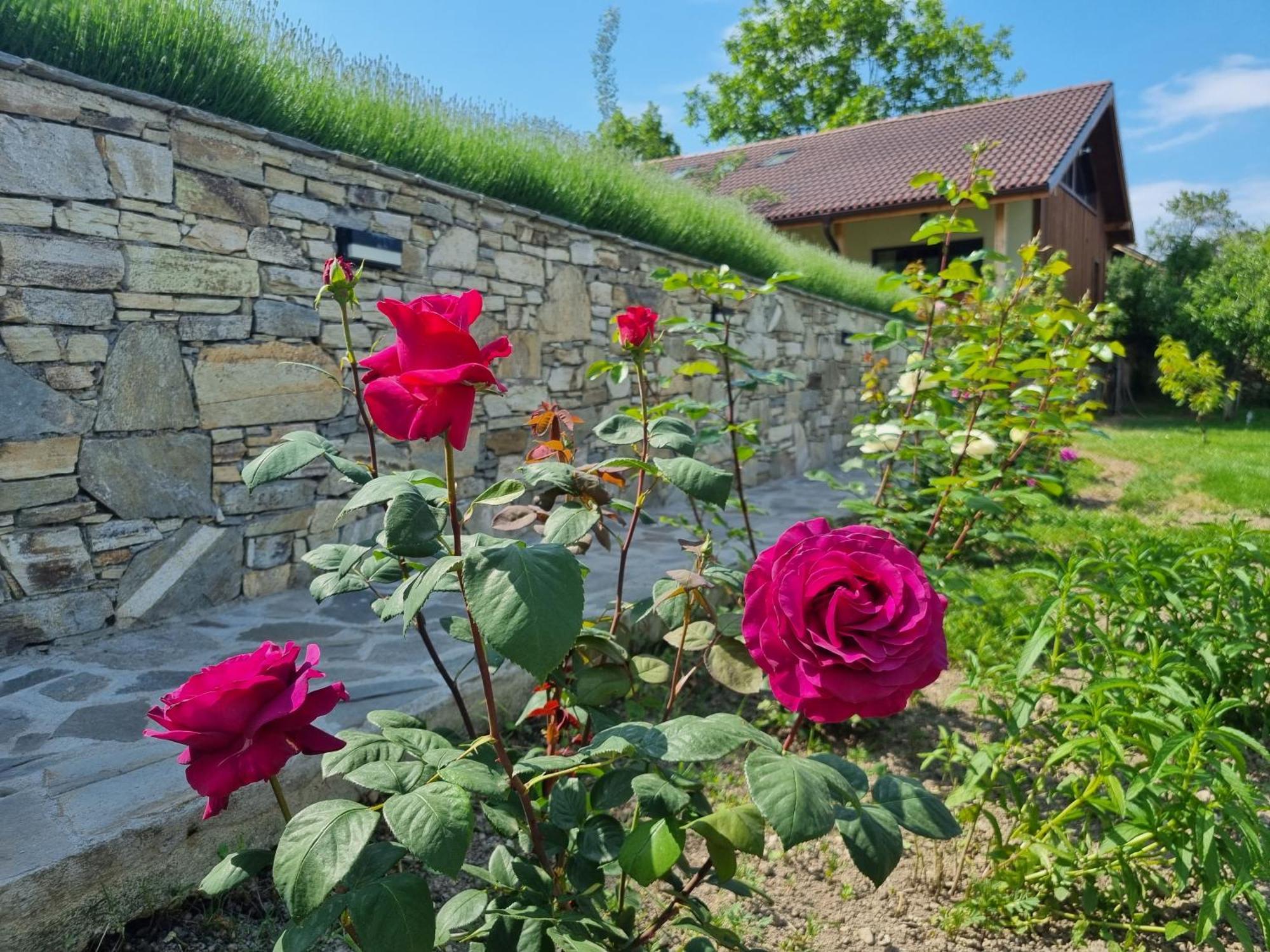 Walnut Cottage 1 Deredzhik-Koy المظهر الخارجي الصورة